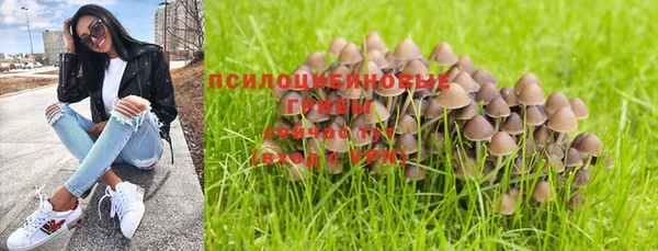 хмурый Усинск