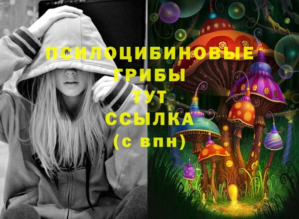 шишки Усолье-Сибирское