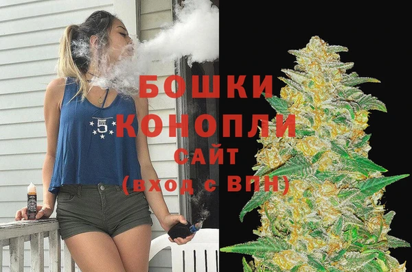 стаф Усмань