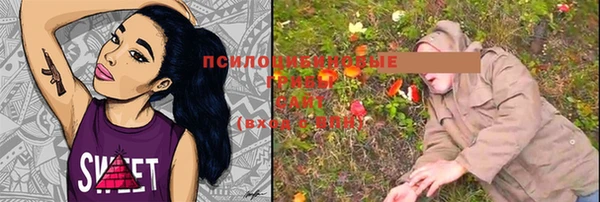 стаф Усмань