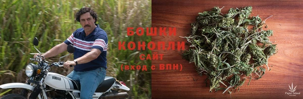 шишки Усолье-Сибирское