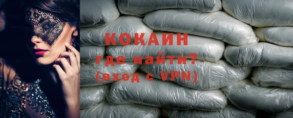 стаф Усмань