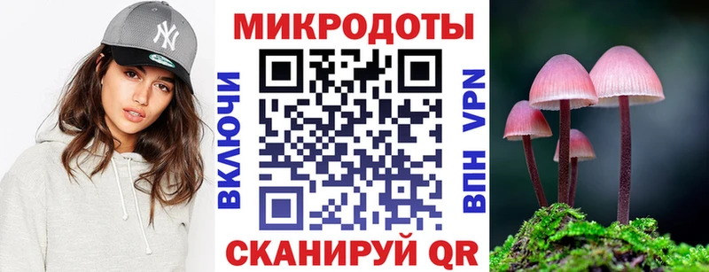 купить   Усть-Лабинск  Псилоцибиновые грибы Psilocybe 