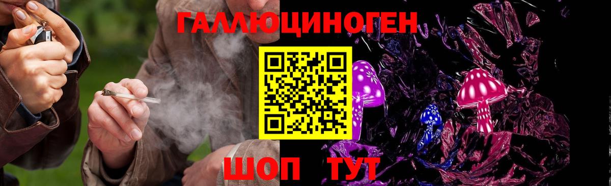Псилоцибиновые грибы Cubensis Усть-Лабинск